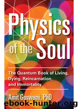 Physics of the Soul by Amit Goswami