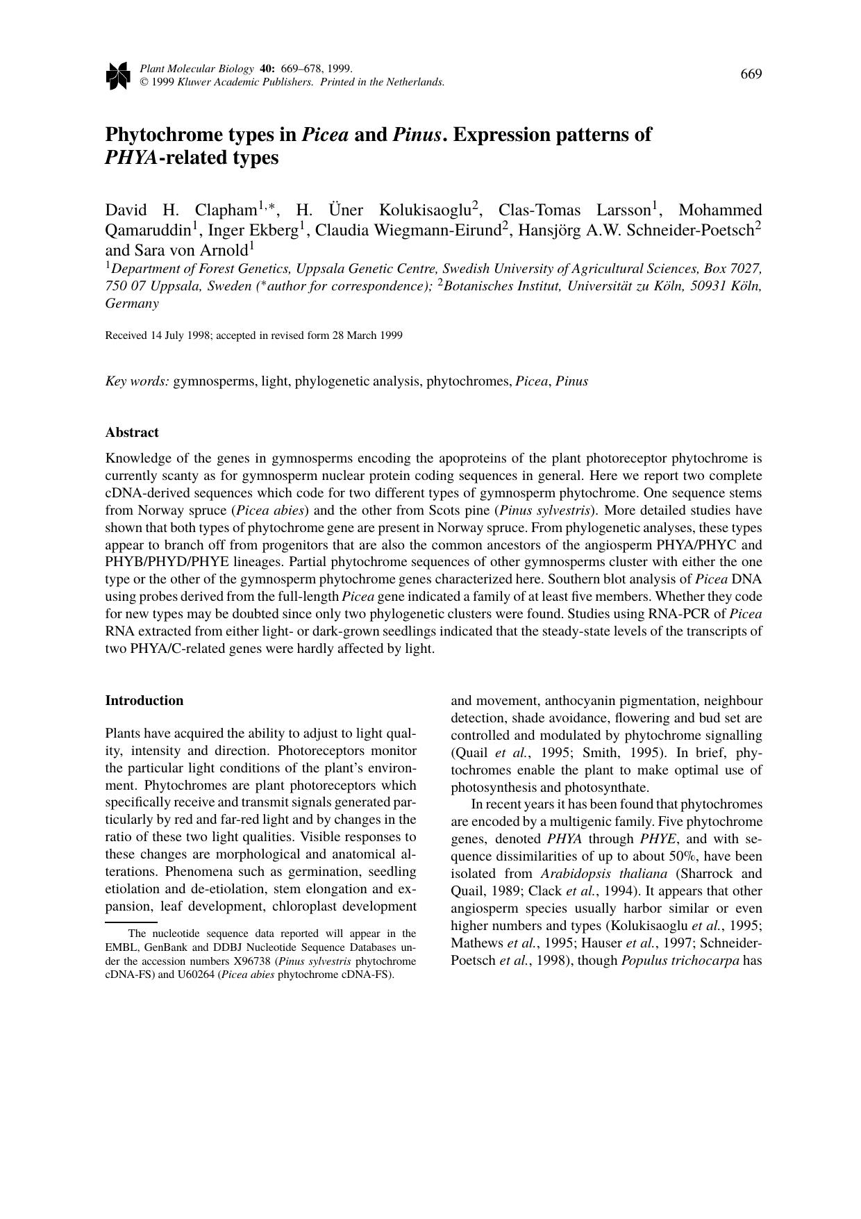 Phytochrome types in Picea and Pinus. Expression patterns of PHYA-related types by Unknown