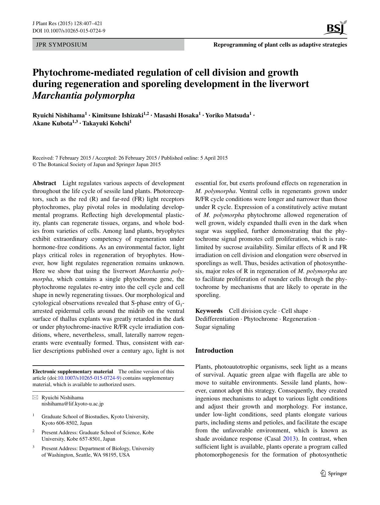 Phytochrome-mediated regulation of cell division and growth during regeneration and sporeling development in the liverwort Marchantia polymorpha by unknow