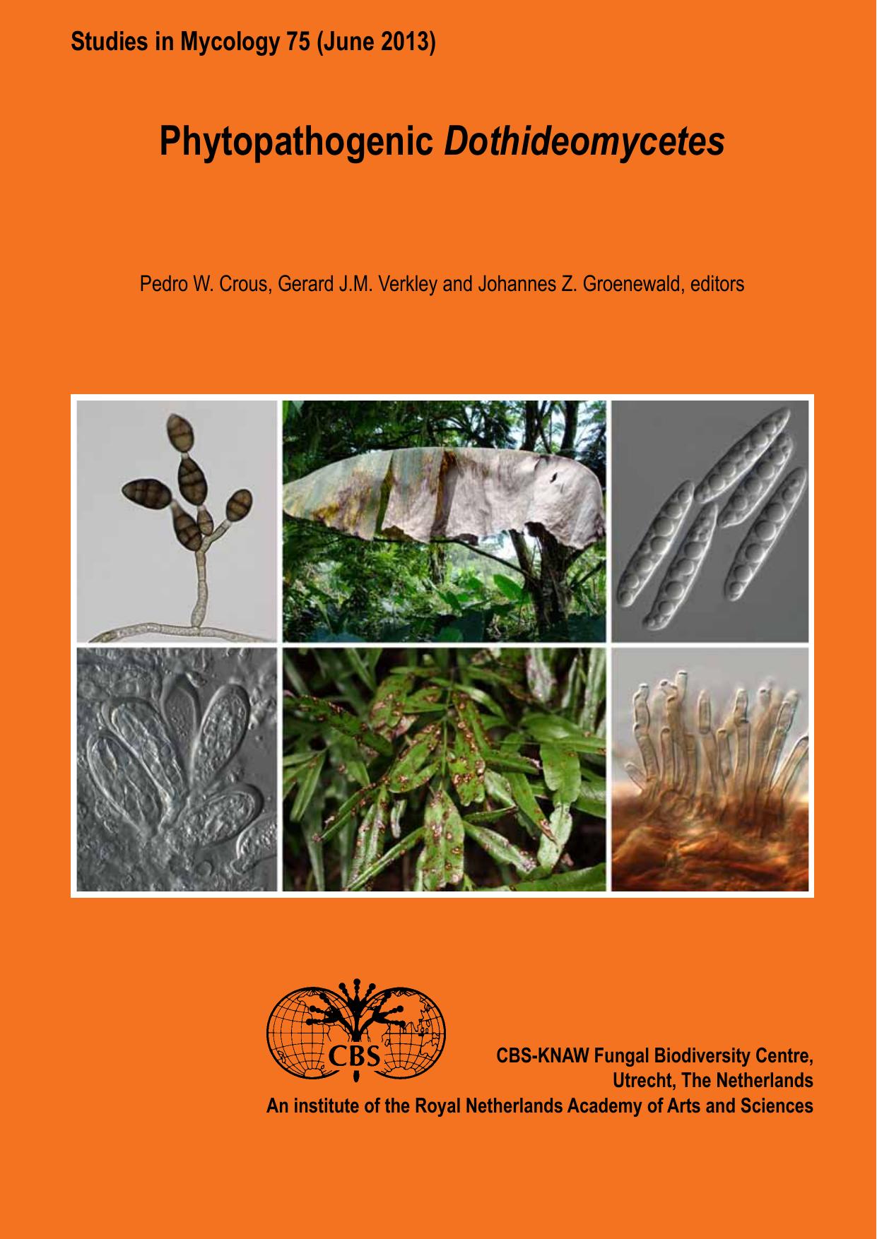 Phytopathogenic Dothideomycetes by Crous P.W. Verkley G.J.M. Groenewald J.Z. (Ed.)