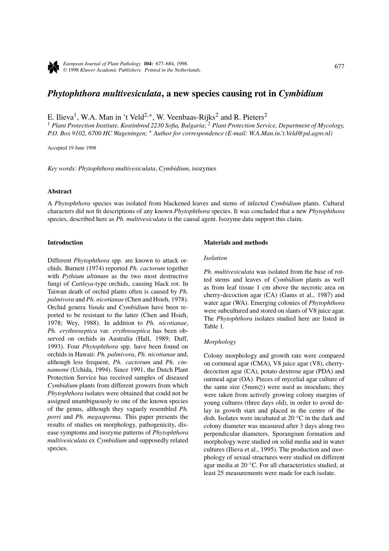 Phytophthora multivesiculata, a new species causing rot in Cymbidium by Unknown
