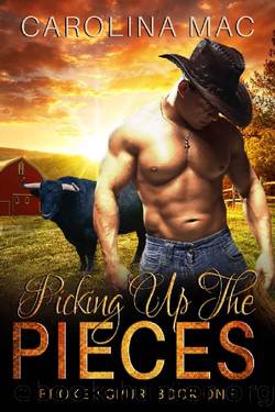 Picking Up the Pieces by Carolina Mac