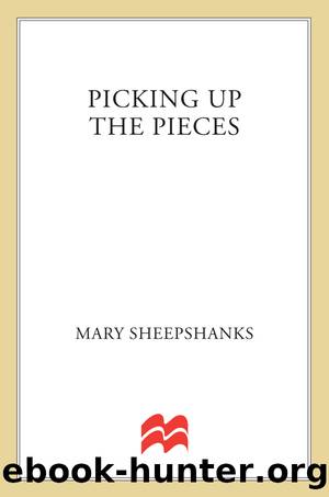 Picking Up the Pieces by Mary Sheepshanks