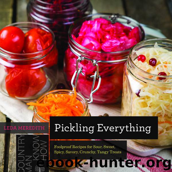 Pickling Everything by Leda Meredith