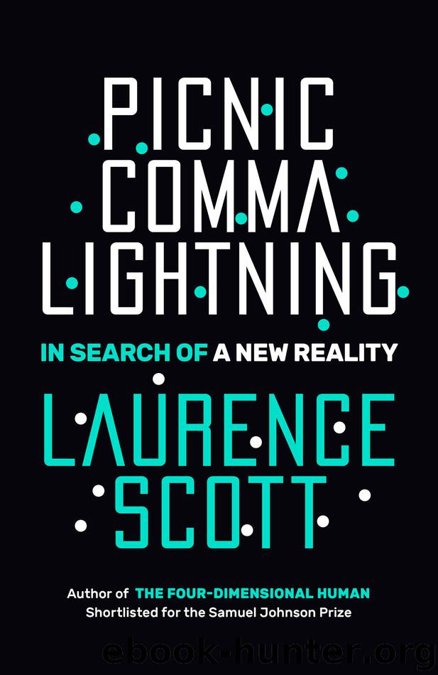 Picnic Comma Lightning by Laurence Scott