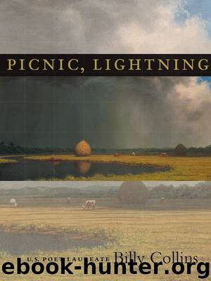 Picnic, Lightning by Billy Collins