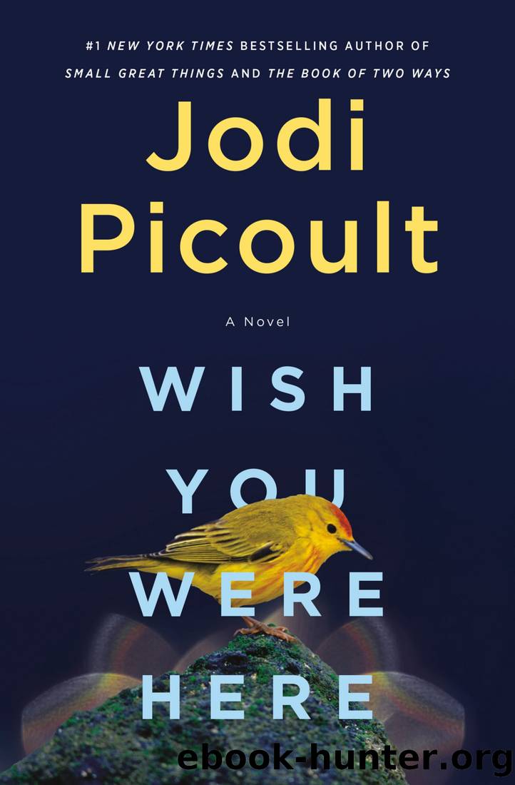Picoult, Jodi - Wish You Were Here by Picoult Jodi