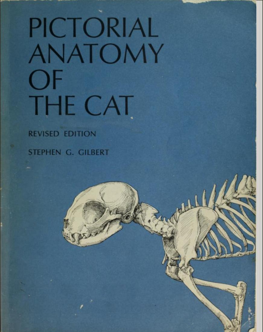 Pictorial Anatomy of the Cat by Stephen G. Gilbert