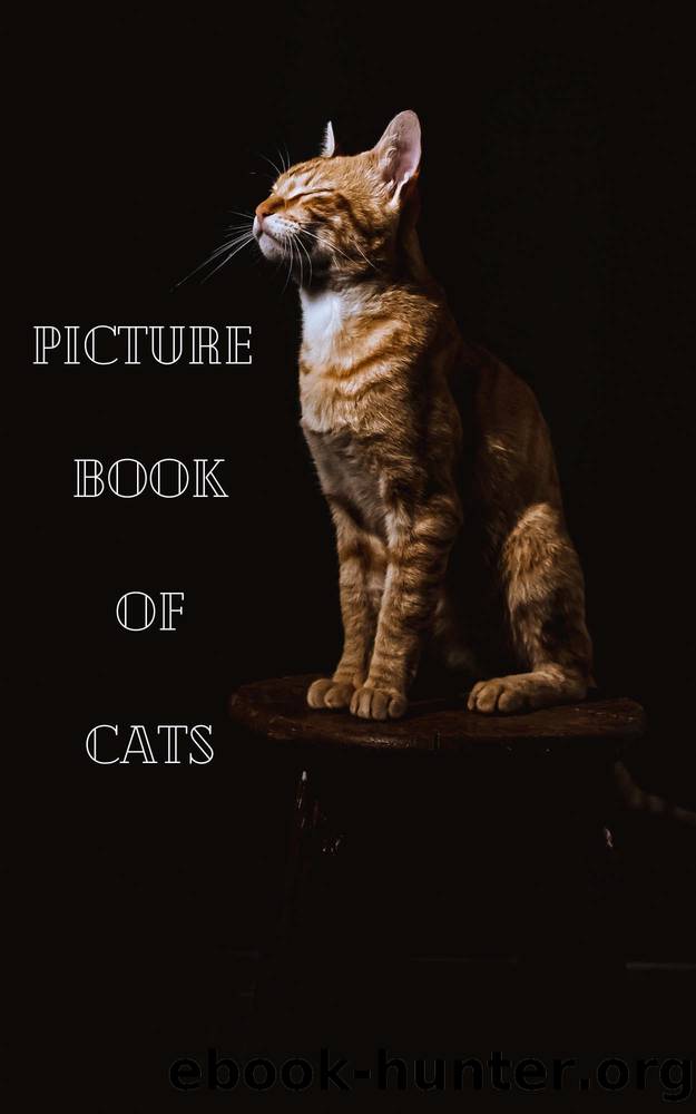 Picture Book Of Cats by Unique Simply