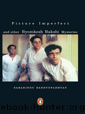 Picture Imperfect by Saradindu Bandyopadhyay
