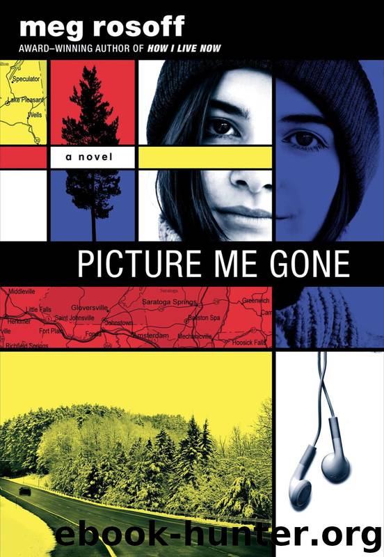 Picture Me Gone by Meg Rosoff