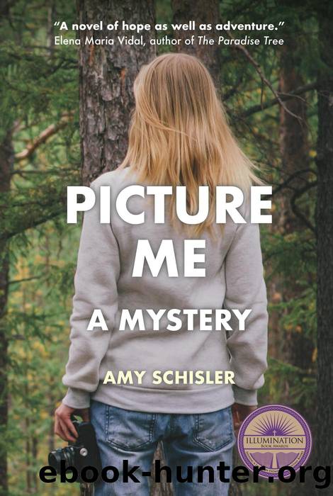 Picture Me, A Mystery by Amy Schisler