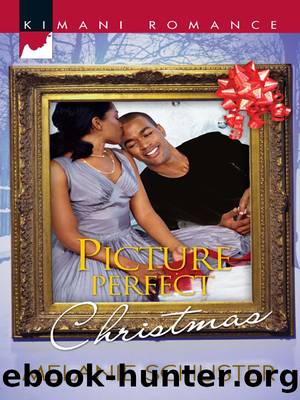 Picture Perfect Christmas by Melanie Schuster