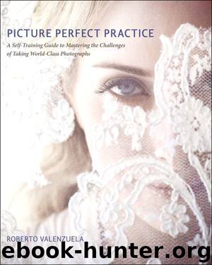 Picture Perfect Practice: A Self-Training Guide to Mastering the Challenges of Taking World-Class Photographs (Richard Stout's Library) by Roberto Valenzuela