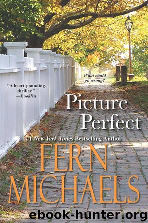 Picture Perfect by Fern Michaels