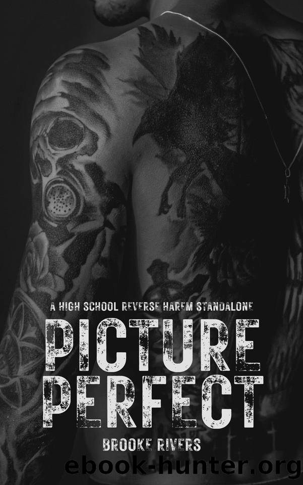 Picture Perfect: Standalone Enemies to Lovers Reverse Harem (Beautifully Broken) by Brooke Rivers
