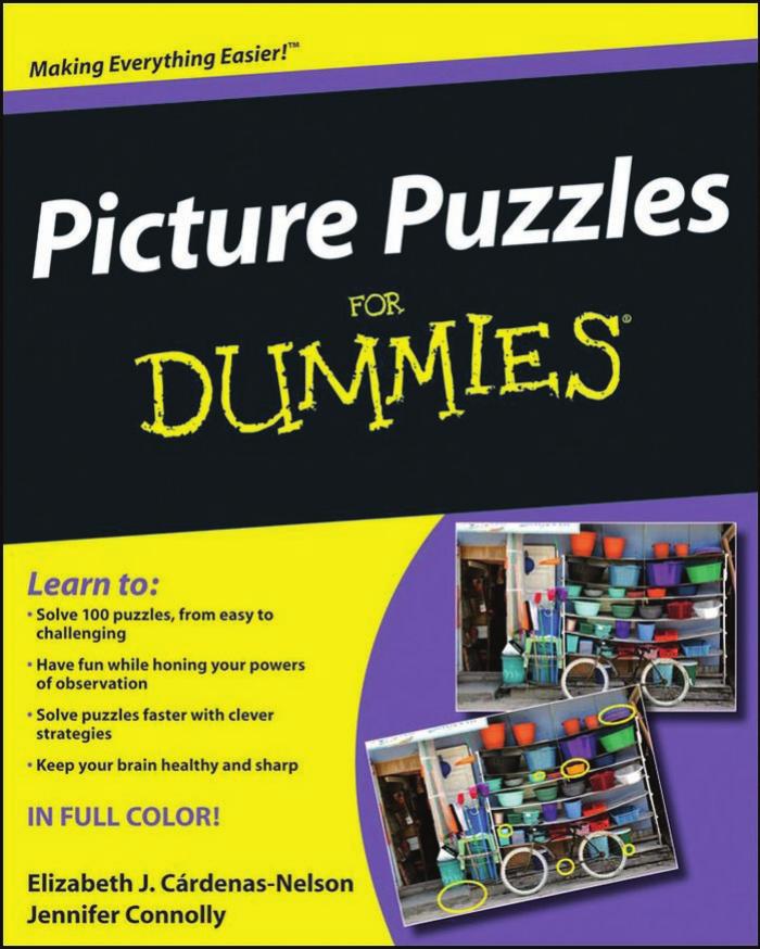 Picture Puzzles for Dummies by Unknown