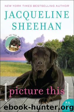 Picture This by Jacqueline Sheehan