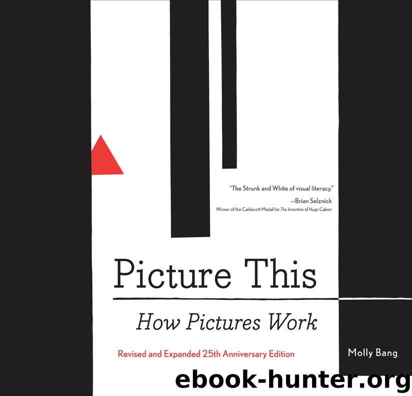 Picture This by Molly Bang