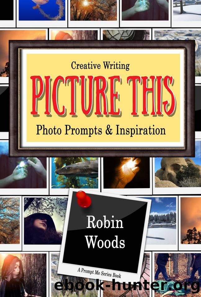Picture This: Creative Writing Photo Prompts & Inspiration by Woods Robin