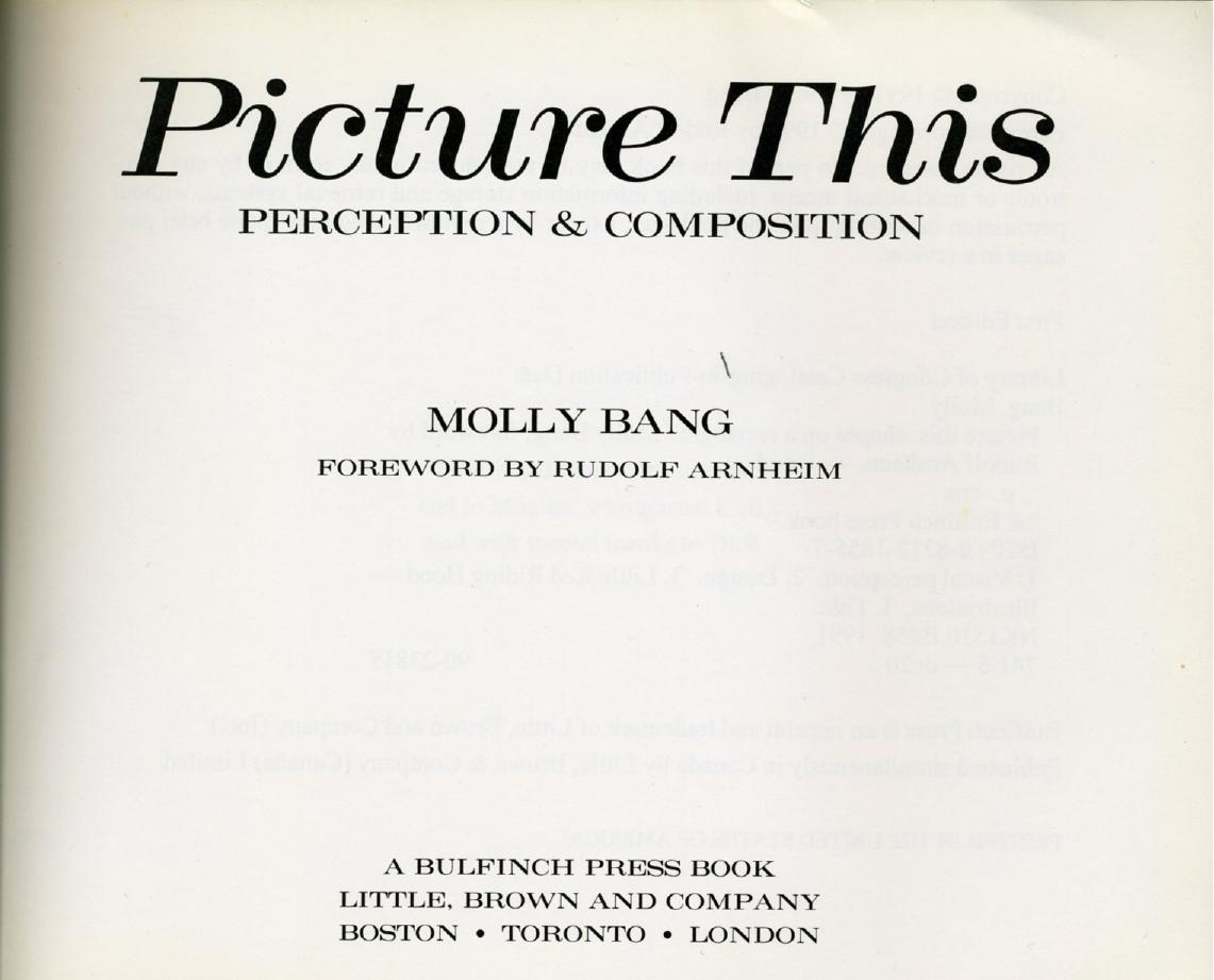 Picture This. Perception & Composition by Bang Molly