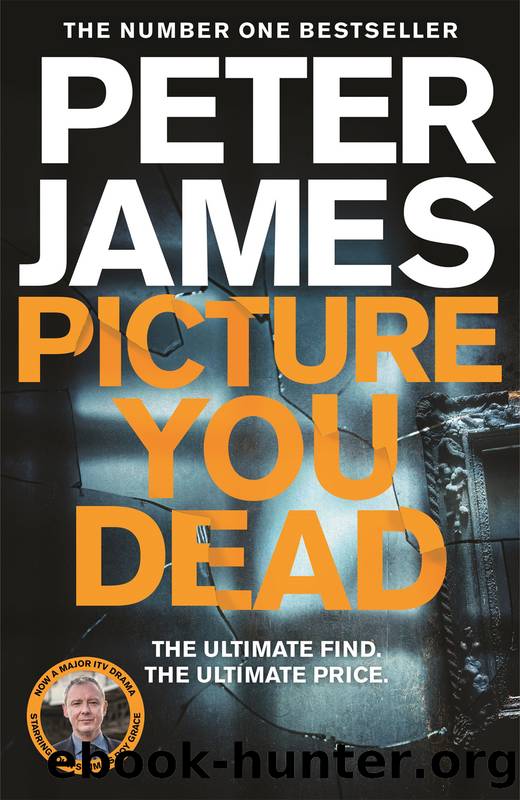 Picture You Dead by Peter James
