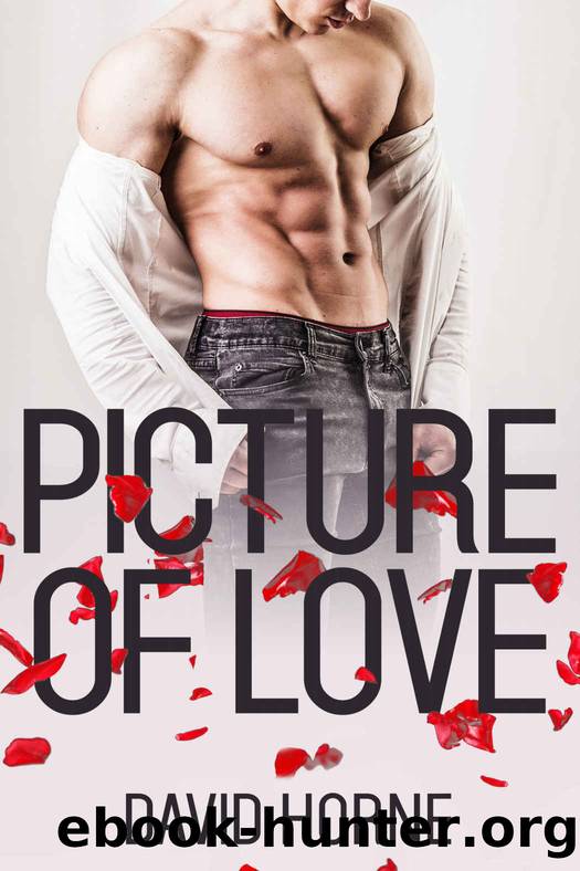 Picture of Love by David Horne