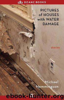 Pictures of Houses with Water Damage: Stories by Hemmingson Michael