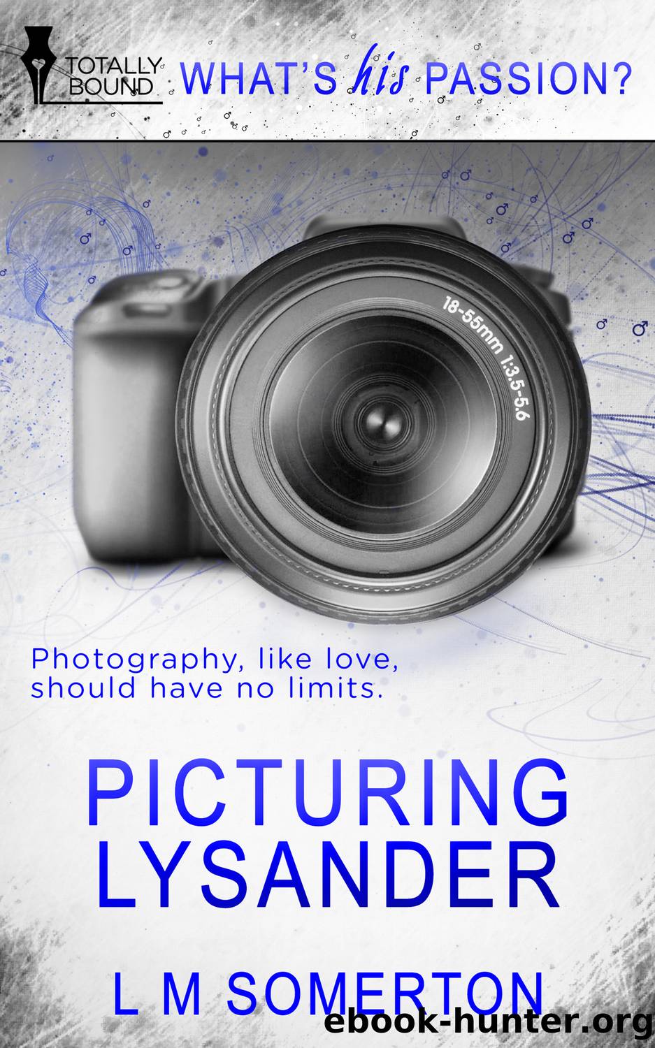 Picturing Lysander by L.M. Somerton