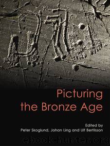 Picturing the Bronze Age (Swedish Rock Art Series) by Johan Ling & Peter Skoglund & Ulf Bertilsson