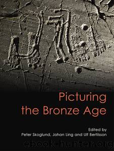 Picturing the Bronze Age by Picturing the Bronze Age (Swedish Rock Art Book 3)