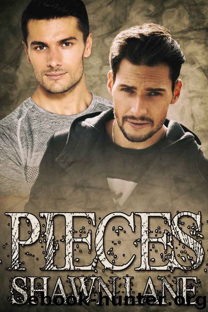 Pieces by Shawn Lane