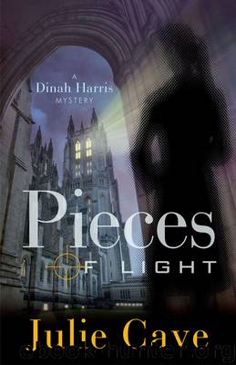 Pieces of Light by Julie Cave