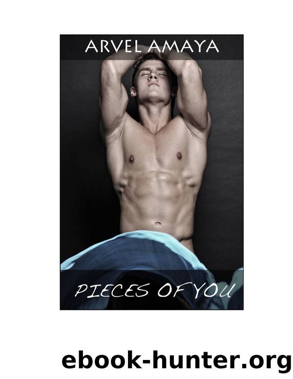 Pieces of You by Arvel Amaya