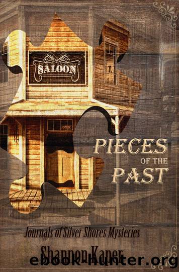 Pieces of the Past by Shannon Kaper