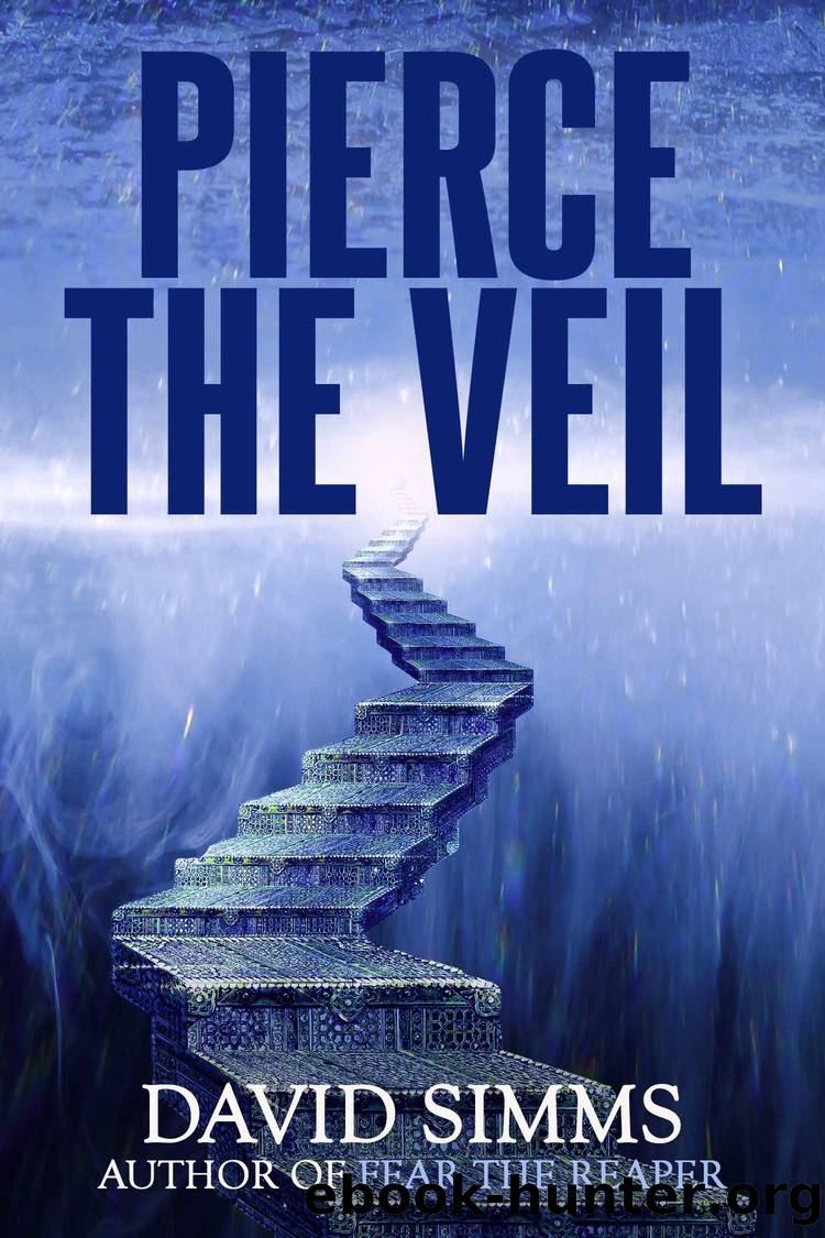 Pierce the Veil by David Simms