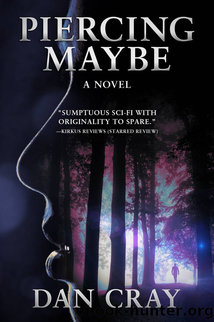 Piercing Maybe by Dan Cray
