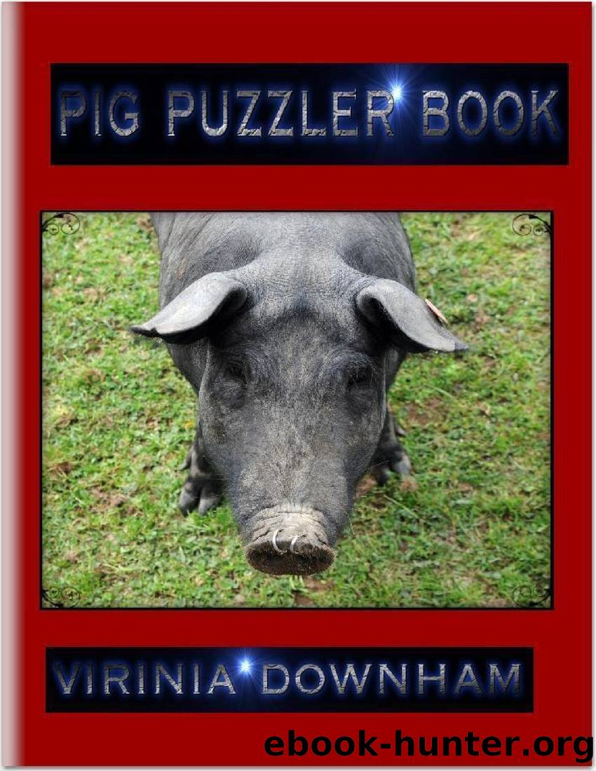 Pig Puzzler Book by Virinia Downham