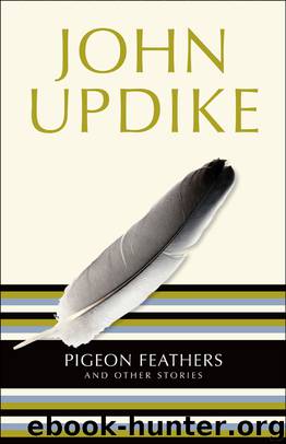 Pigeon Feathers by John Updike