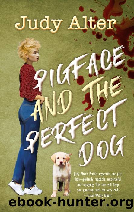 Pigface and the Perfect Dog by Judy Alter