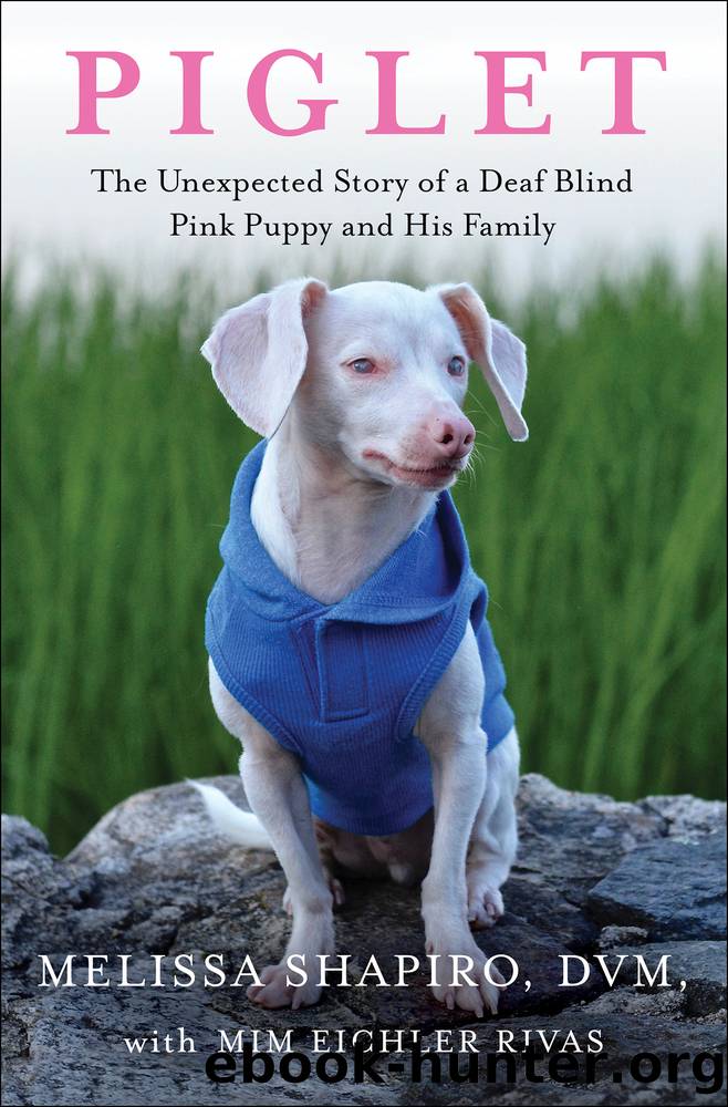 Piglet by Melissa Shapiro & Mim Eichler Rivas