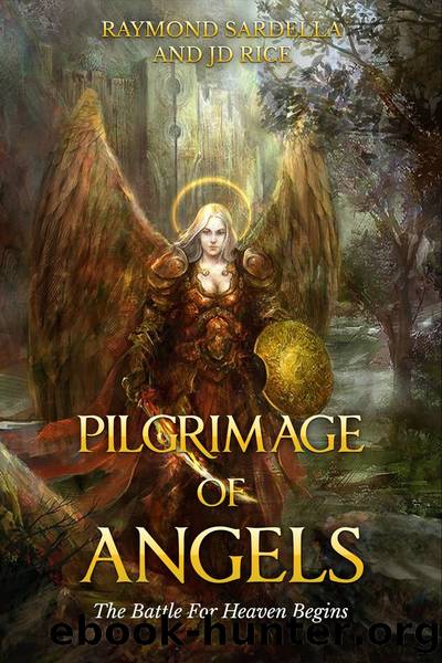 Pilgrimage of Angels by Raymond Sardella & JD Rice