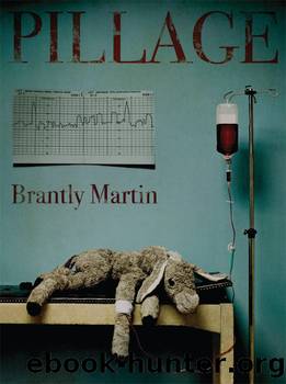 Pillage by Brantly Martin