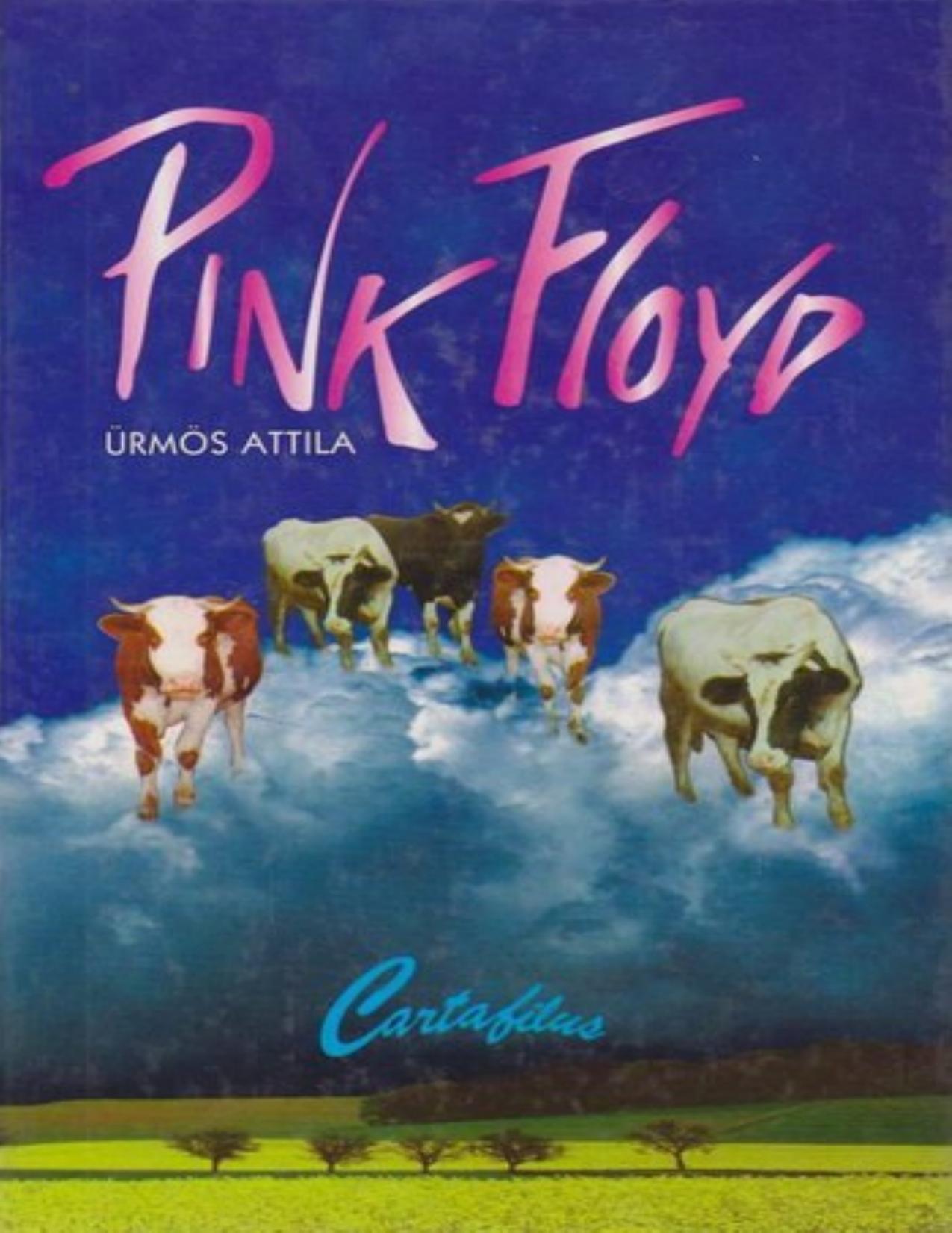 Pink Floyd by Ürmös Attila