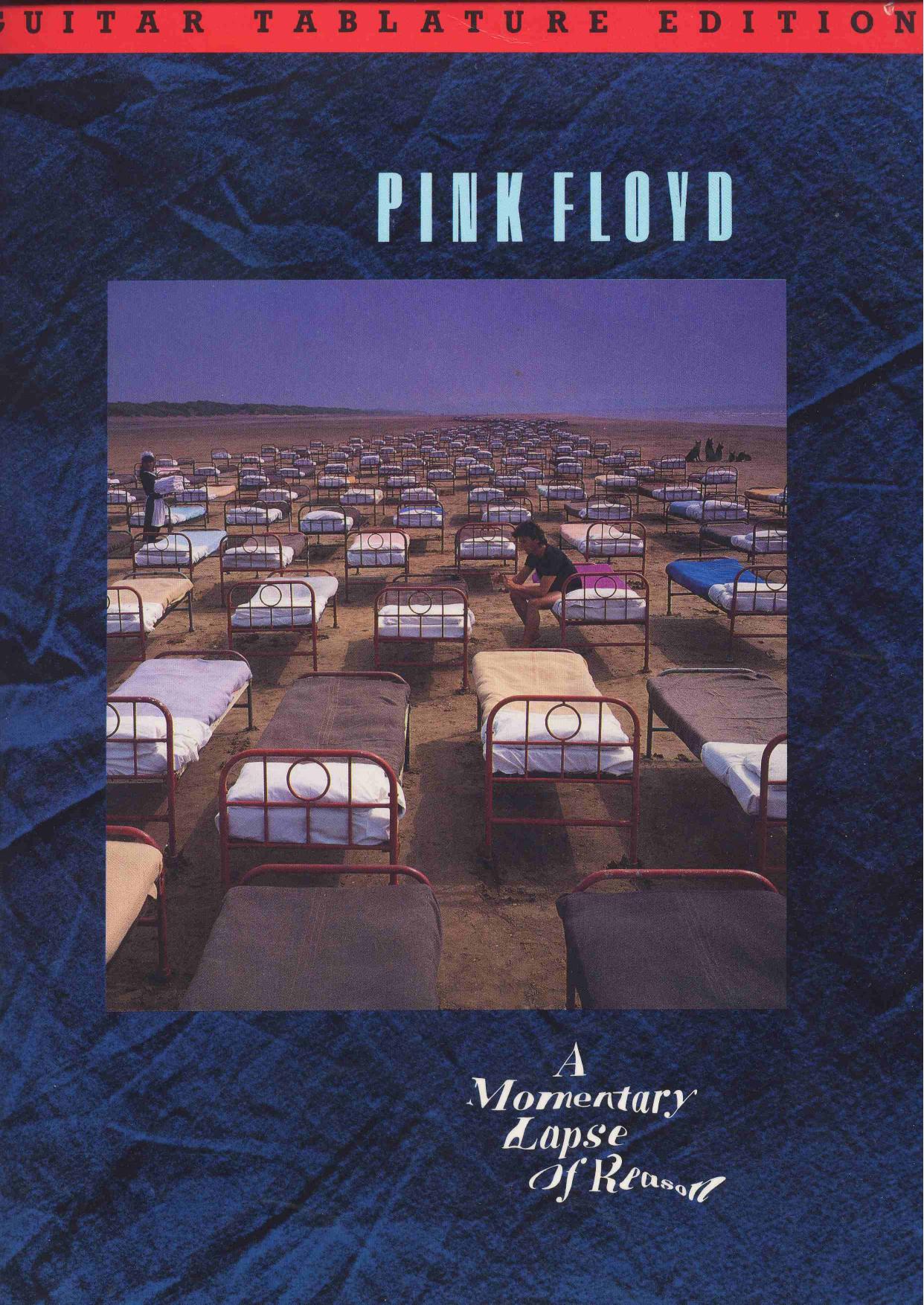 Pink Floyd by A Momentary Lapse of Reason (Guitar Songbook)
