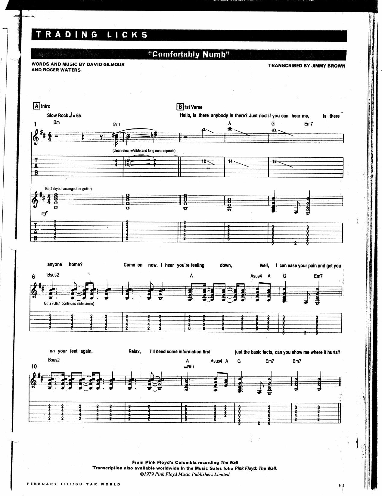 Pink Floyd by Comfortably Numb