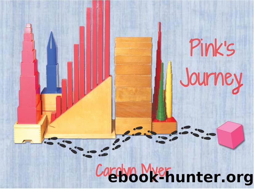 Pink's Journey by Carolyn Myer