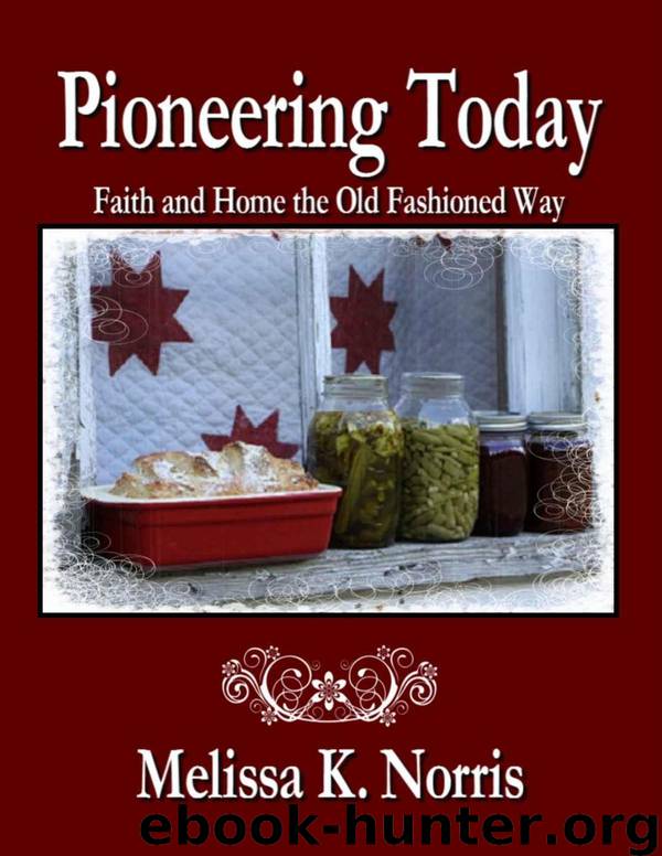 Pioneering Today by Norris Melissa
