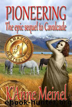 Pioneering by K'Anne Meinel