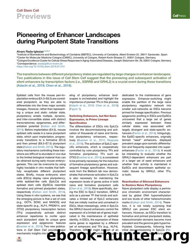 Pioneering of Enhancer Landscapes during Pluripotent State Transitions by Alvaro Rada-Iglesias